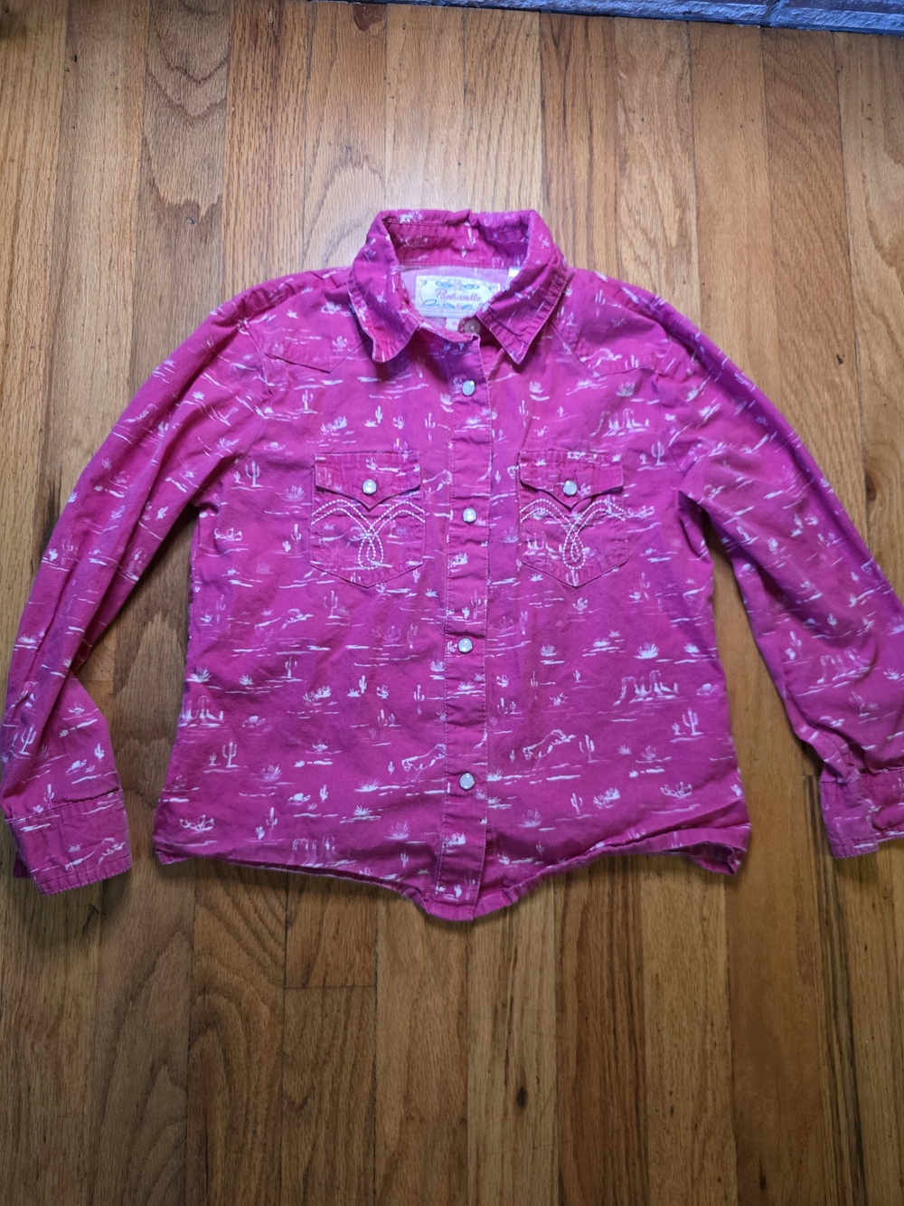 Panhandle Slim Girls Pink Western Snap Shirt Desert Print Long Sleeve Size Small